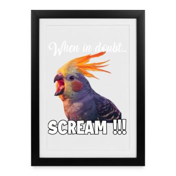 Original outfits parrot and cockatiel fans - Framed poster (27 × 37 cm) - black - Front
