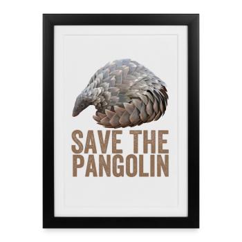 Save The Pangolin - Framed poster (27 × 37 cm) - black - Front