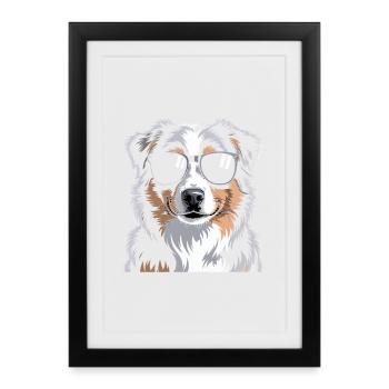 Berger australien - Affiche encadrée (27 × 37 cm) - noir - Devant