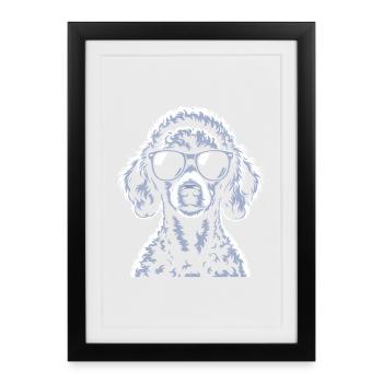 Caniche blanc - Affiche encadrée (27 × 37 cm) - noir - Devant