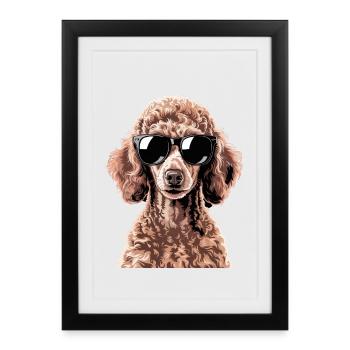 Caniche brun - Affiche encadrée (27 × 37 cm) - noir - Devant