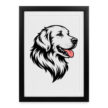 Golden Retriever - Affiche encadrée (27 × 37 cm) - noir - Devant