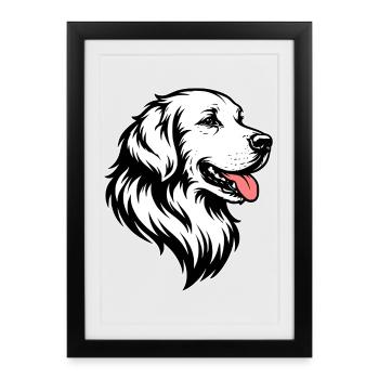 Golden Retriever front white - Framed poster (27 × 37 cm) - black - Front