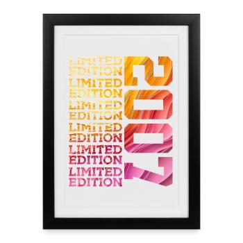 LIMITED EDITION 2007 19 YEARS 19TH BIRTHDAY - Framed poster (27 × 37 cm) - black - Front