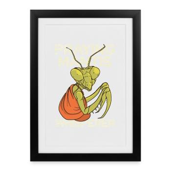 Mantide in Prayer – Whisperer - Framed poster (27 × 37 cm) - black - Front