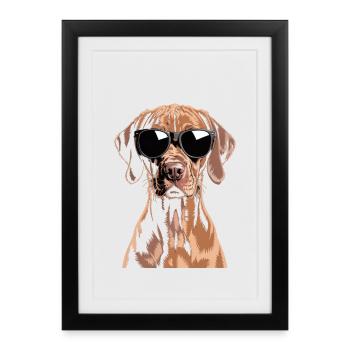 Vizsla - Framed poster (27 × 37 cm) - black - Front