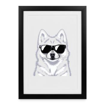 Pomsky - Affiche encadrée (27 × 37 cm) - noir - Devant