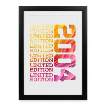LIMITED EDITION 2004 22 YEARS 22ND BIRTHDAY - Framed poster (27 × 37 cm) - black - Front