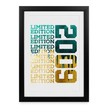 LIMITED EDITION 2009 17 YEARS 17TH BIRTHDAY - Framed poster (27 × 37 cm) - black - Front
