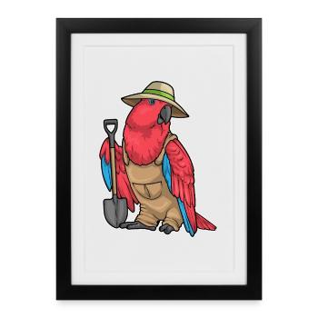 Jardin de pelles du jardinier perroquet-gars - Affiche encadrée (27 × 37 cm) - noir - Devant