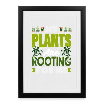 My Plants Are Rooting For Me Funny Word Game - Framed poster (27 × 37 cm) - black - Front