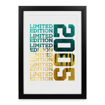 LIMITED EDITION 2005 21 YEARS 21ST BIRTHDAY - Framed poster (27 × 37 cm) - black - Front