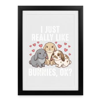 Cute Rabbits - I Just Really Like Bunnies Ok - Framed poster (27 × 37 cm) - black - Front