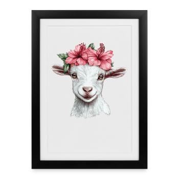 Chèvre avec une couronne d’hibiscus - Affiche encadrée (27 × 37 cm) - noir - Devant
