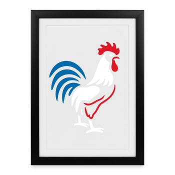 Vibrant blue red rooster - Framed poster (27 × 37 cm) - black - Front