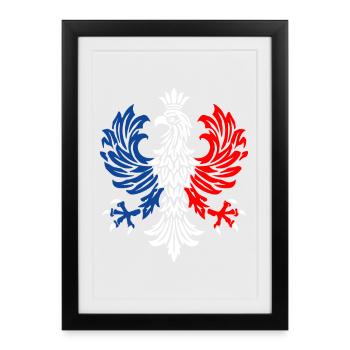Tricolor Eagle Emblem - Framed poster (27 × 37 cm) - black - Front