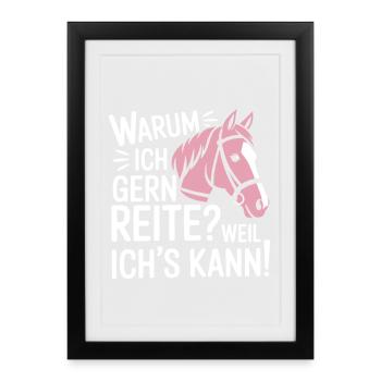 Reiterin Reiten Sprüche Warum ich reite - Gerahmtes Poster (27 × 37 cm) - Schwarz - Vorne
