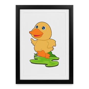 Jogging canard - Affiche encadrée (27 × 37 cm) - noir - Devant