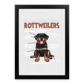 Propriétaire de chien Rottweiler T Dog Walk Outfit Rott - Affiche encadrée (27 × 37 cm) - noir - Devant