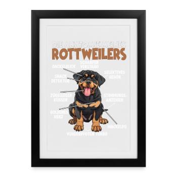 Hund Rottweiler T Hundehalter Geschenk - Gerahmtes Poster (27 × 37 cm) - Schwarz - Vorne