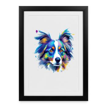 Berger australien Portrait coloré du chien australien - Affiche encadrée (27 × 37 cm) - noir - Devant