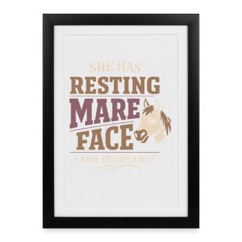 Horse Mood Humor Experienced Horse Owner - Framed poster (27 × 37 cm) - black - Front