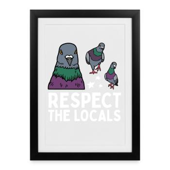 Respect the Locals Pigeons Coo - Framed poster (27 × 37 cm) - black - Front