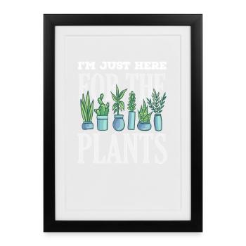 Les amateurs de plantes sont uniquement ici pour les plantes - Affiche encadrée (27 × 37 cm) - noir - Devant