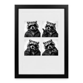 Raccoon Noir Quadruple: Sunglasses Cigarette - Framed poster (27 × 37 cm) - black - Front