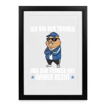 Football coach Capybara is always right - Framed poster (27 × 37 cm) - black - Front