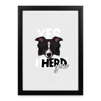 Yes I Herd You Funny Border Collie Sheepdog - Affiche encadrée (27 × 37 cm) - noir - Devant