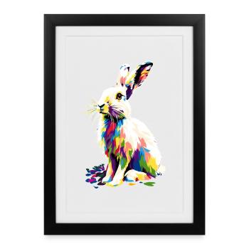 Lapin de montagne Lièvre arctique Labiin albinos Lapin blanc - Affiche encadrée (27 × 37 cm) - noir - Devant