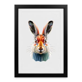 Lapin de montagne Lièvre arctique Labiin albinos Lapin blanc - Affiche encadrée (27 × 37 cm) - noir - Devant
