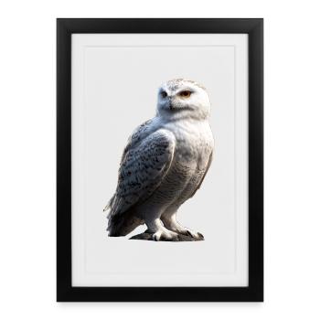 Snowy Owl White Owl Owl Owl Owl Snow Owl - Framed poster (27 × 37 cm) - black - Front