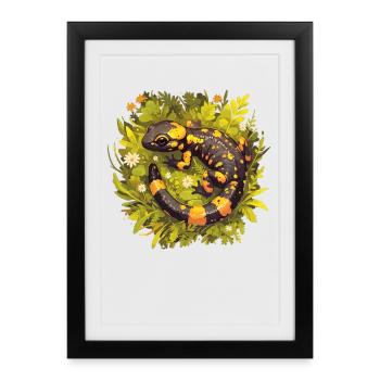Salamandre de feu Salamandre - Affiche encadrée (27 × 37 cm) - noir - Devant