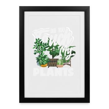 Touch My Plants Funny Plant Lover - Framed poster (27 × 37 cm) - black - Front