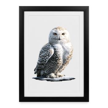 Snowy Owl White Owl Owl Owl Owl Snow Owl - Framed poster (27 × 37 cm) - black - Front