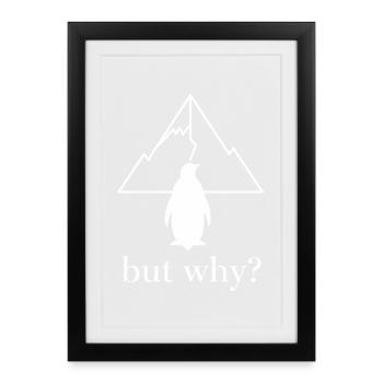 Pingouin | Pingouin Nihiliste Drôle - Affiche encadrée (27 × 37 cm) - noir - Devant