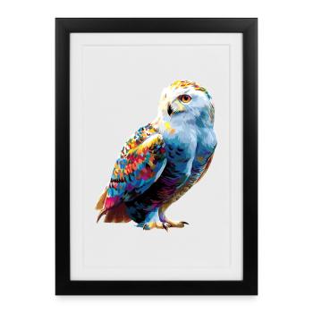 Snowy Owl White Owl Owl Owl Owl Snow Owl - Framed poster (27 × 37 cm) - black - Front