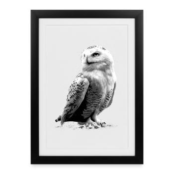 Snowy Owl White Owl Owl Owl Owl Snow Owl - Framed poster (27 × 37 cm) - black - Front