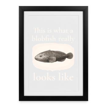 Ressemble vraiment à – Un design des Lumières - Affiche encadrée (27 × 37 cm) - noir - Devant