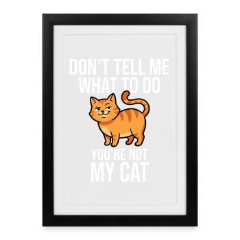 Sag mir nicht, was ich tun soll, nicht meine Katze - Gerahmtes Poster (27 × 37 cm) - Schwarz - Vorne