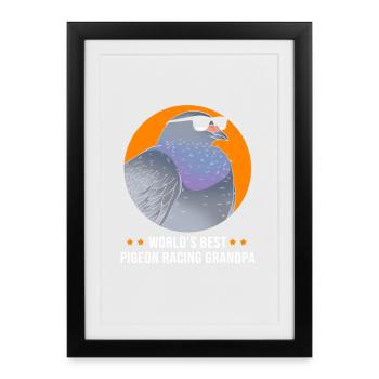 Pigeon Race Pigeon Pigeons - Framed poster (27 × 37 cm) - black - Front