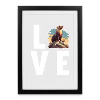 Lions de mer Lion de mer - Affiche encadrée (27 × 37 cm) - noir - Devant