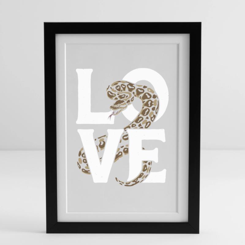Les serpents rois Python ADORENT les pythons de terrarium Affiche encadrée (27 × 37 cm)