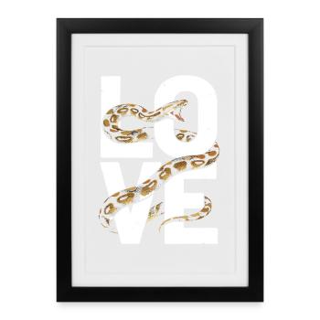 King Python Snakes LOVE Terrarium Python - Framed poster (27 × 37 cm) - black - Front