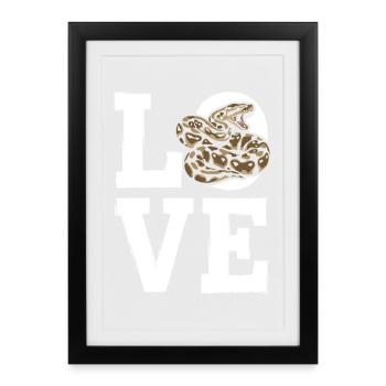 King Python Snakes LOVE Terrarium Python - Framed poster (27 × 37 cm) - black - Front