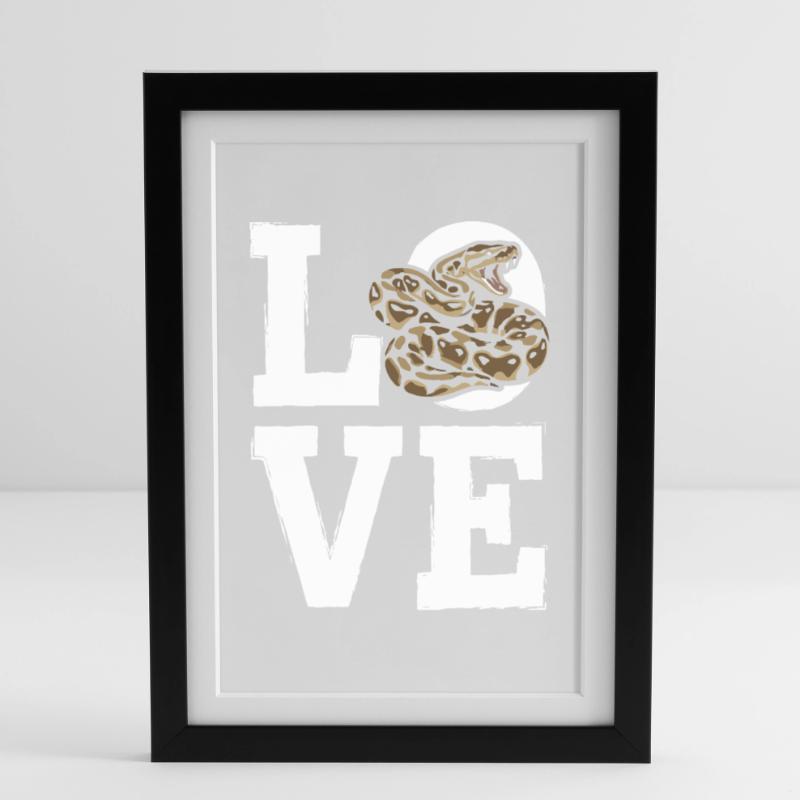 Les serpents rois Python ADORENT les pythons de terrarium Affiche encadrée (27 × 37 cm)