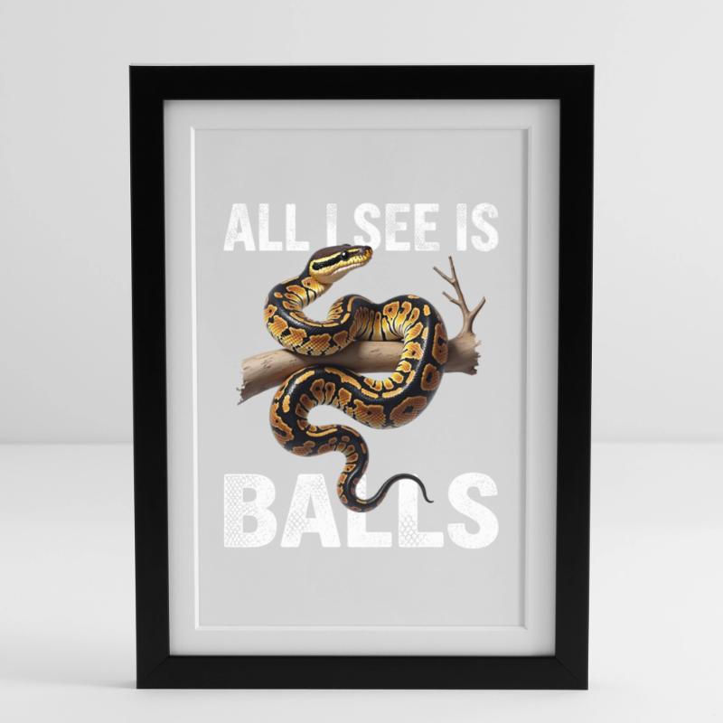 Python roi Serpents Amateurs de terrarium Python Affiche encadrée (27 × 37 cm)