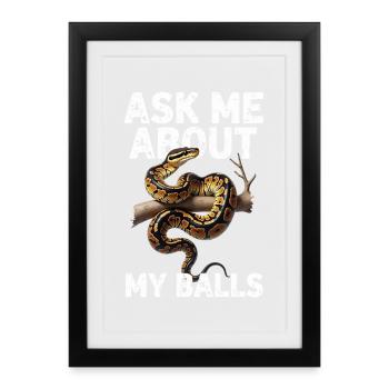King Python Snakes Lover Terrarium Python - Framed poster (27 × 37 cm) - black - Front